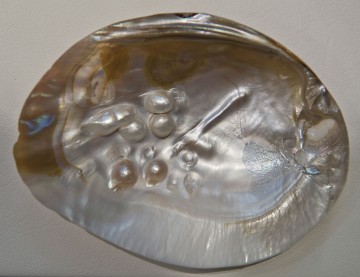Perlemusling med perler 12-13 cm