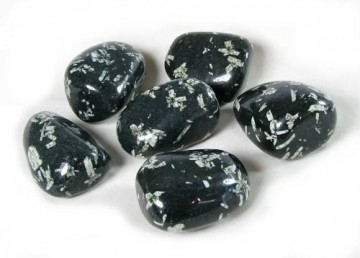 Krysantemum stein, svart Tromlet Medium AAA-kvalitet