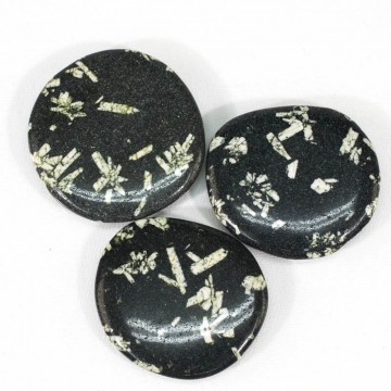 Krysantemum stein flat lommestein 40-50 mm AAA-kvalitet