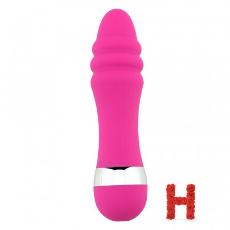 Rosa vibrator type H