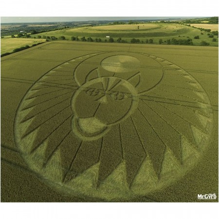 Figsbury Ring, Firsdown, Wiltshire. Rapportert 22. juli 2016