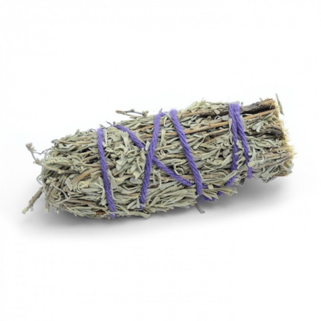 Salvie Desert Sage Smudge Liten 9 10 Cm Stort Utvalg Av 